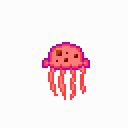 Jellyfish